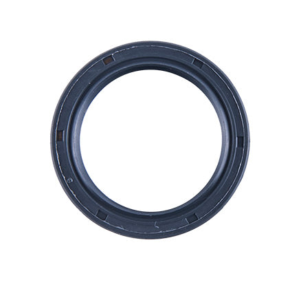 Yamaha Raptor 250 Rear Axle Carrier Bearing & Seal Kit 2008-2013