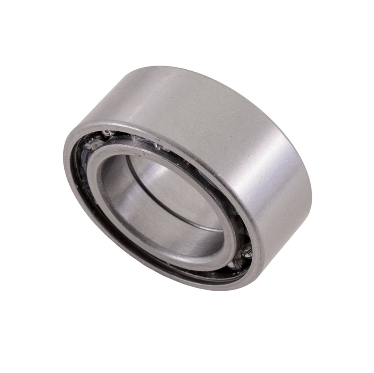 Honda TRX300 Wheel Bearing Set  1988  - 2000