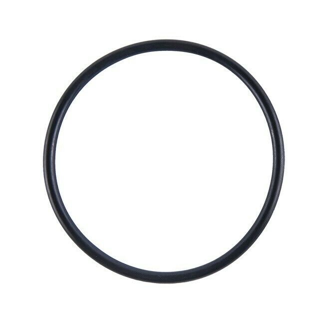 Polaris Sportsman 400 500 Rear Differential Seal Kit  2001  - 2010