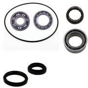 Arctic Cat 250 300 2X4 front differential bearing & seal kit