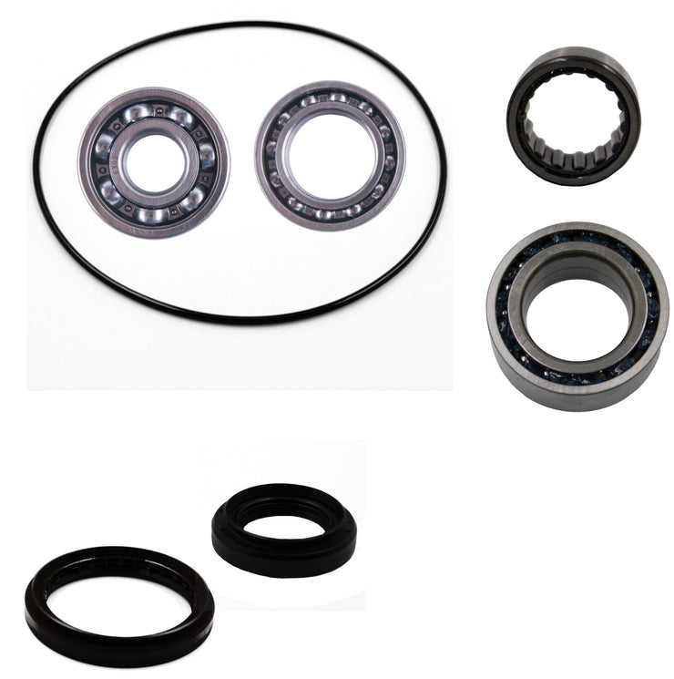 Arctic Cat 250 300 2X4 front differential bearing & seal kit
